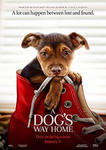 A Dog’s Way Home เพื่อนรักผจญภัยสี่ร้อยไมล์ HD เสียงไทย เต็มเรื่อง