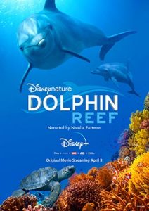 Dolphin Reef (2020) อัศจรรย์ชีวิตของโลมา