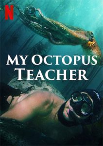 My Octopus Teacher (2020) บทเรียนจากปลาหมึก