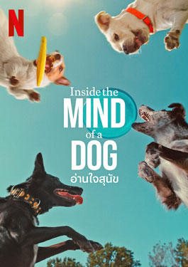 Inside the Mind of a Dog (2024) อ่านใจสุนัข